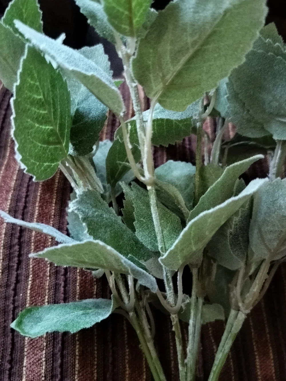 Hobby Lobby Green Faux Lambs Ear Stem